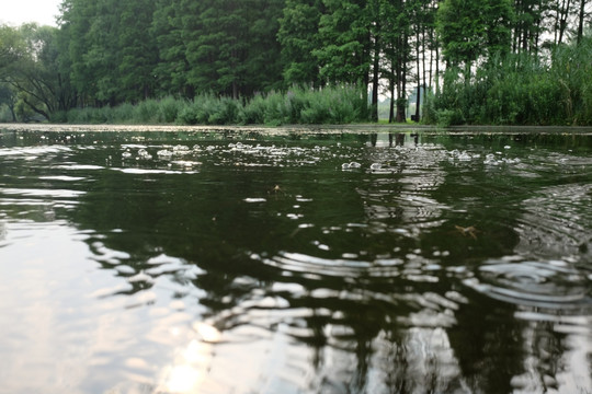 湖水 水波 湖面