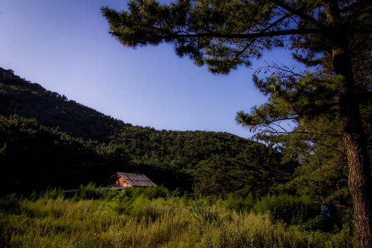 林中小屋