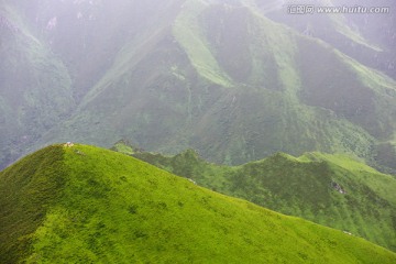 高原草原