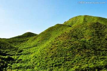 绿色山坡