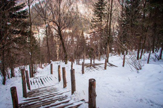 森林雪景登山步道