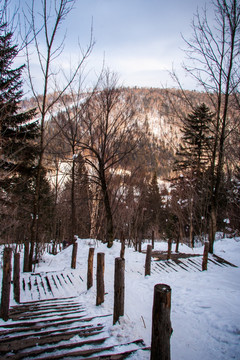 森林雪景登山步道