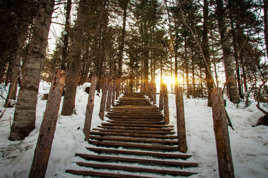 森林雪景登山步道