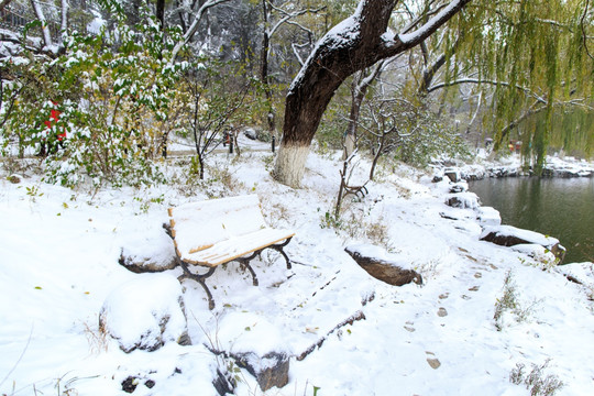 北大未名湖畔秋天雪景柳树