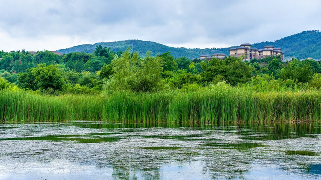 生态湿地 湖泉公园
