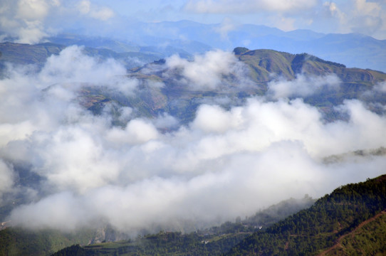 大山 雾气