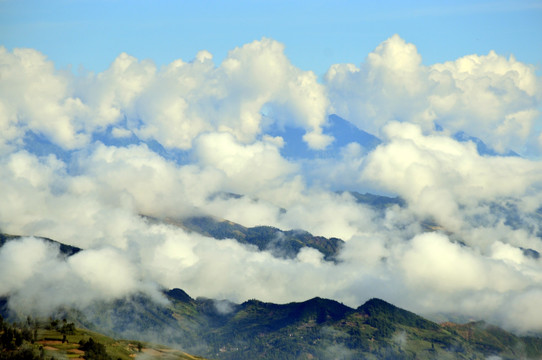 大山 雾气