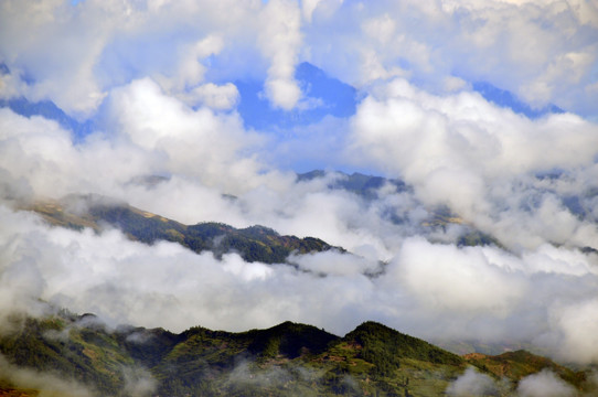 大山 雾气