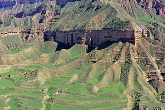 黄土高原 黄土高坡