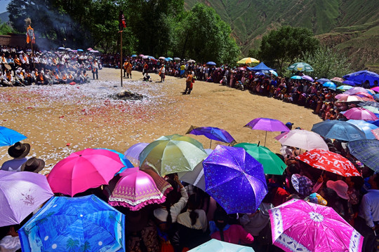 藏区文化 同仁六月会