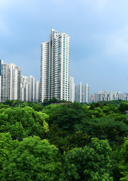 城市居民楼建筑与绿树