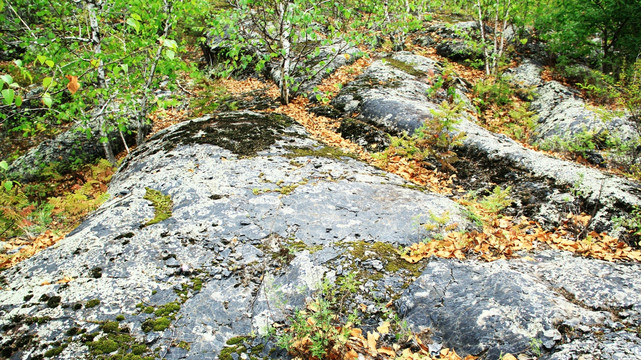 火山岩浆石