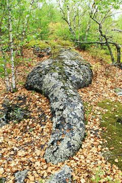 火山岩浆石