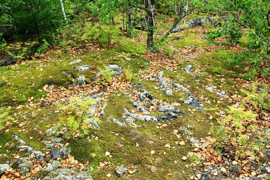 火山岩浆石