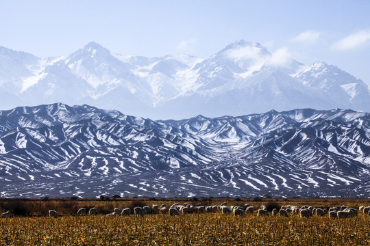 天山山脉积雪