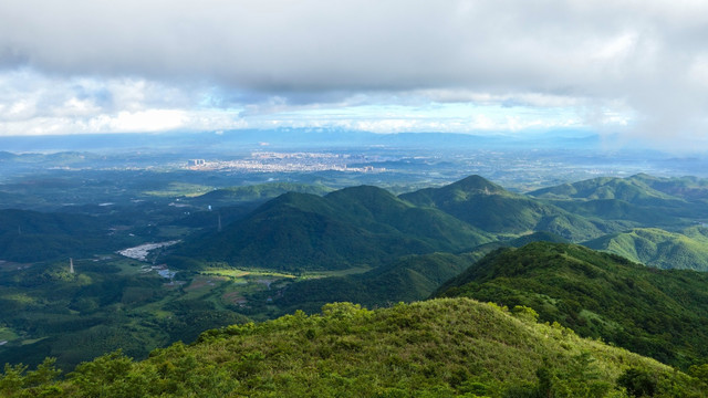 大山 高山 树林