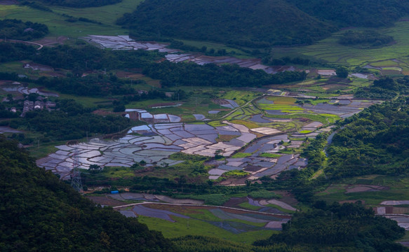 田野 稻田