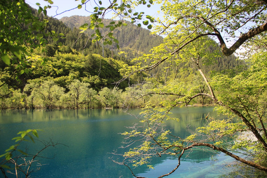 原生态湖