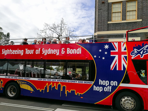 悉尼观光巴士