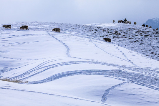 天山山脉积雪