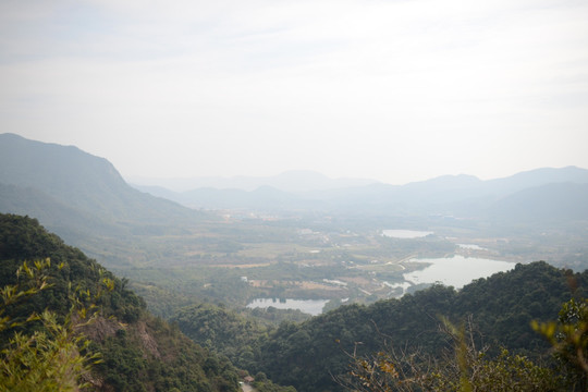山景