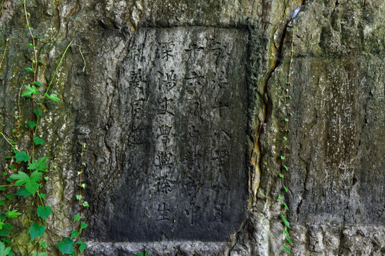 桓魋石室墓