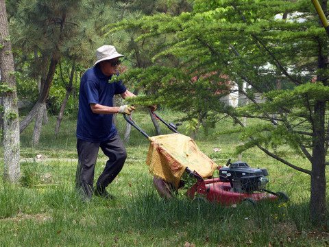 园林工人 修剪草坪 剪草机