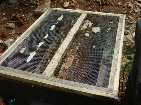 蜜蜂 蜂箱