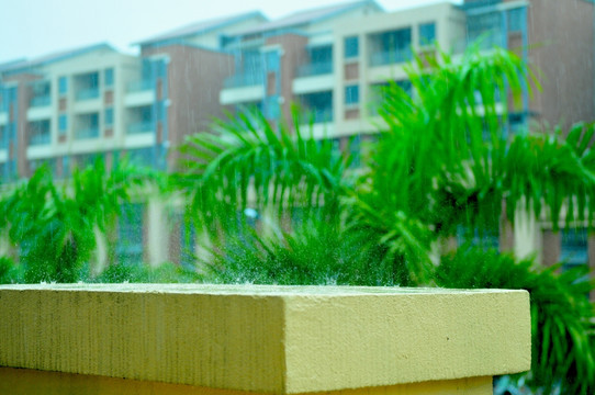 天气 下雨 雨中倒影 雨丝