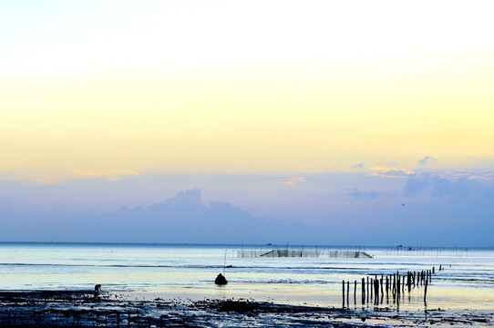 滩涂夕阳 海水养殖 宁静海边