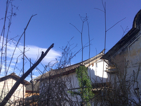 城镇