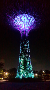 新加坡擎天大树