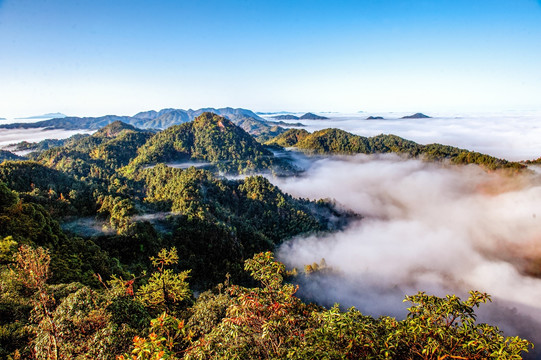 归龙山云海