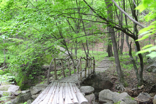 山里 森林 小木桥