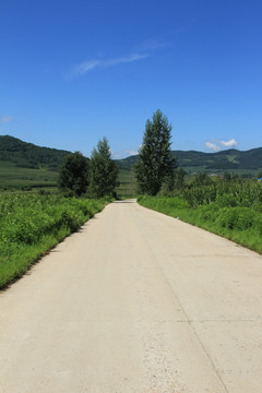 乡间小路