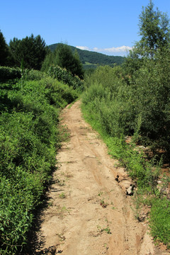 乡间小路