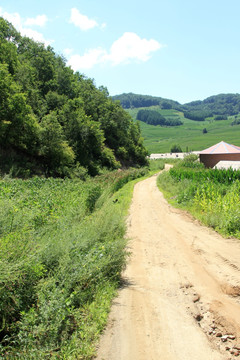 乡间小路
