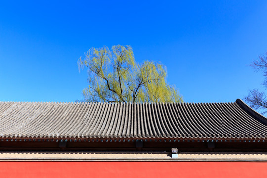 北京故宫红墙宫墙琉璃瓦屋顶