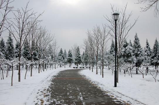 鸿博公园雪景