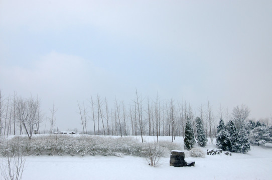 鸿博公园雪景