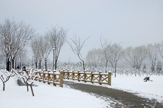 雪中木桥