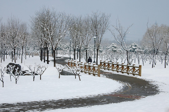 雪中木桥