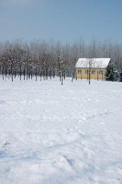 雪中房屋