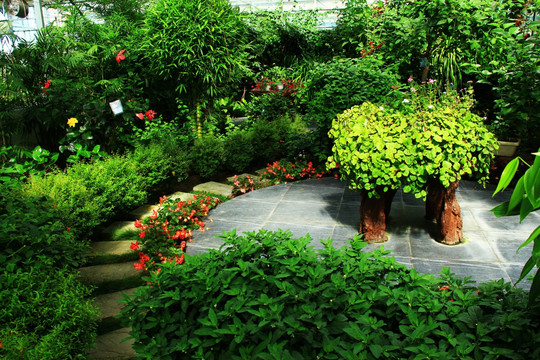 生态花卉
