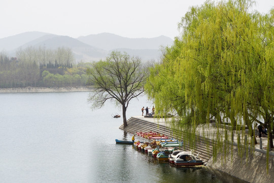 山水湖水 翠柳堤