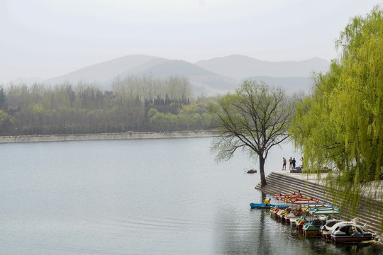 山水湖水 翠柳堤