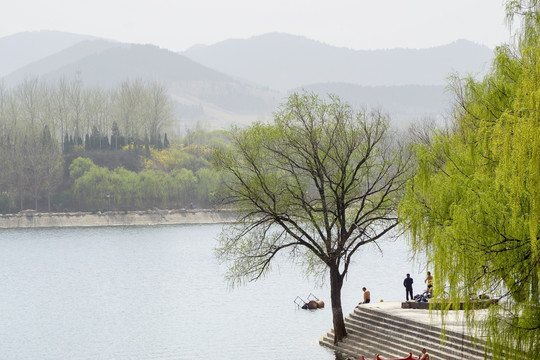 山水湖水 翠柳堤