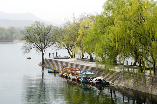 山水湖水 翠柳堤