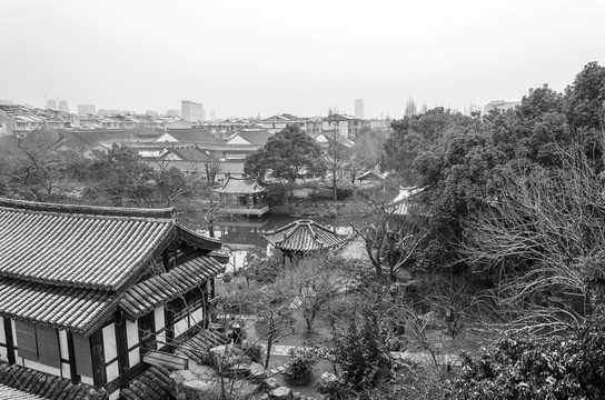 沈园雪景