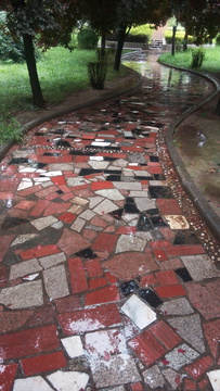 雨后公园